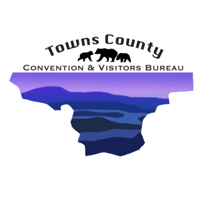 towns county logog