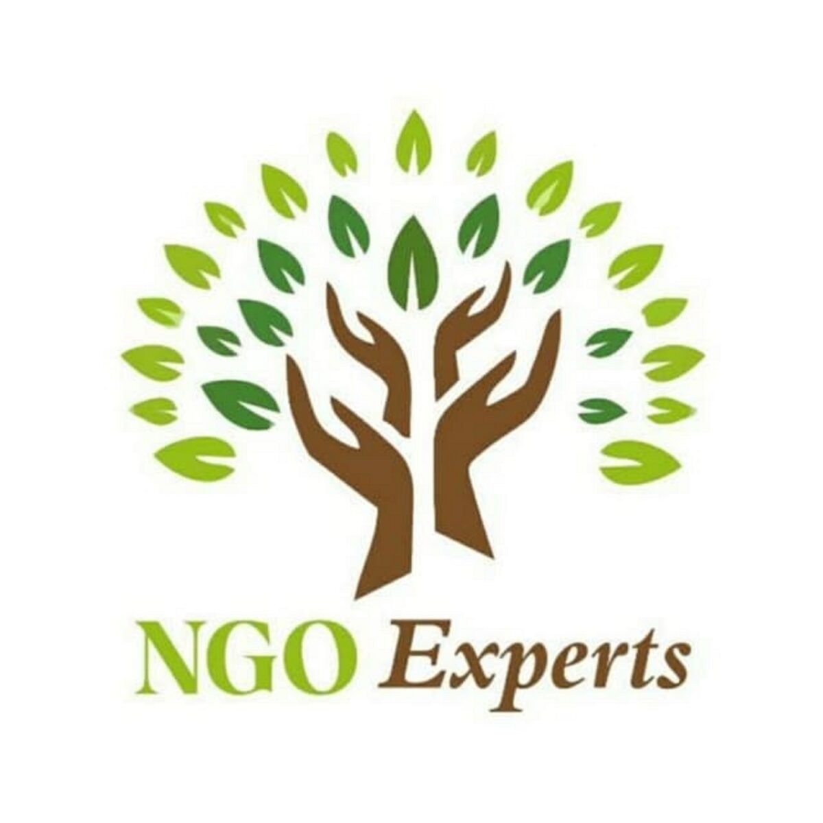 NGO Experts Logo