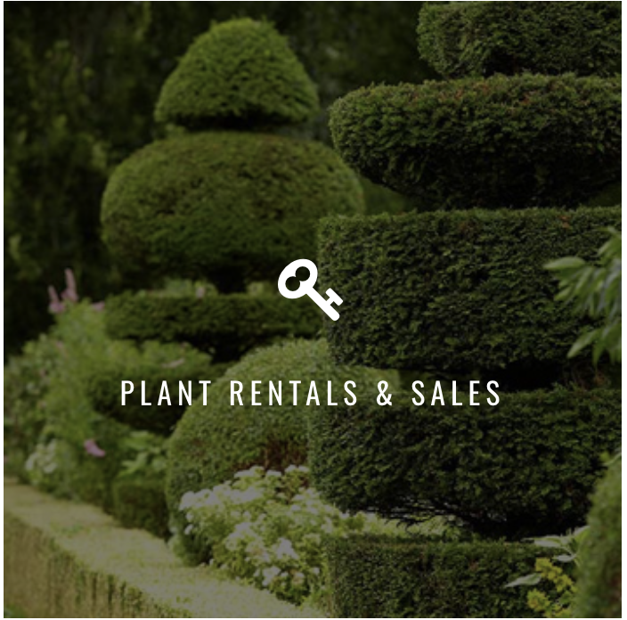 Screenshot 2026-04-30 at 2.51.17 PM