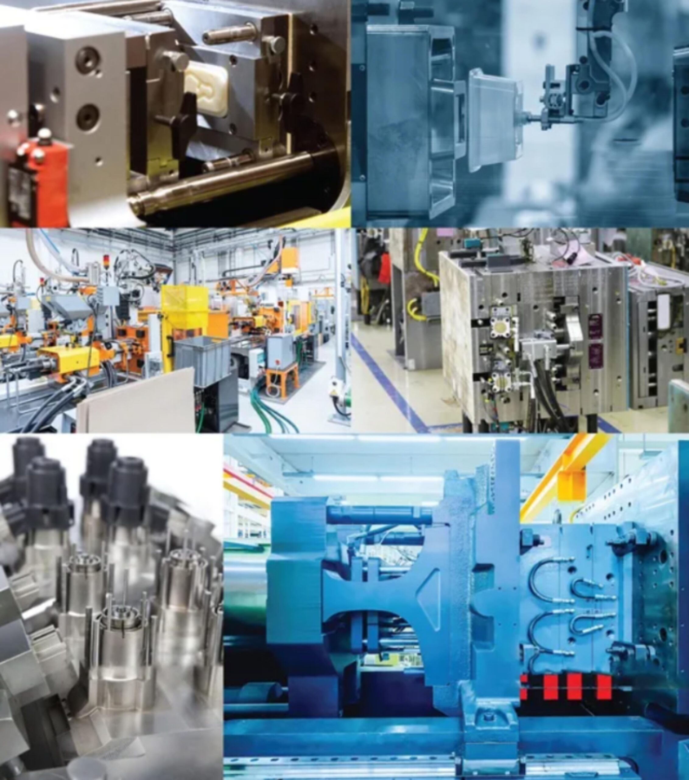 imresizer-imresizer-download (9)