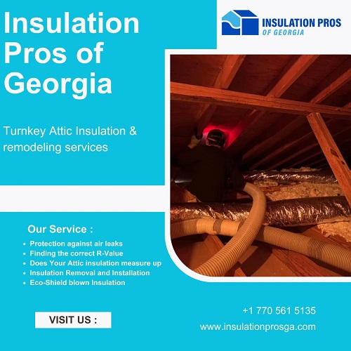 Rodent Contaminated Insulation Cleanup in Gainesville