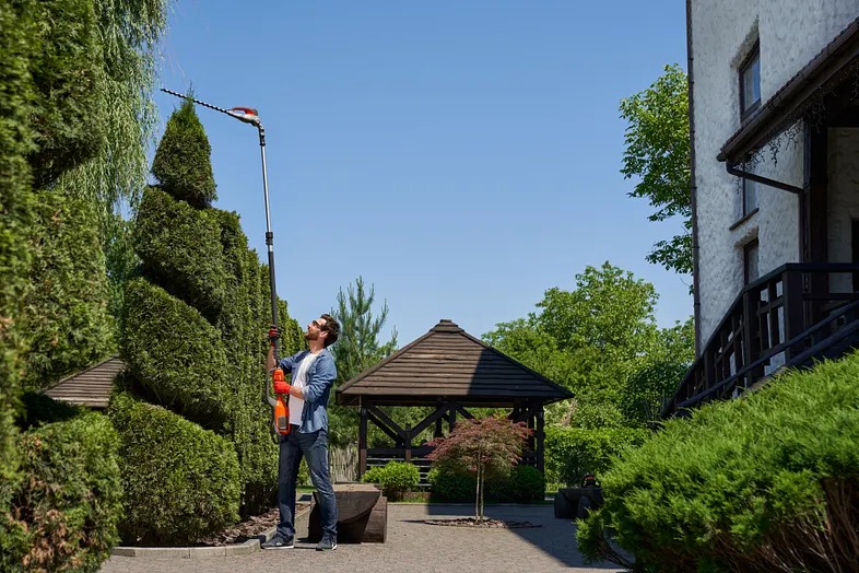 WhatsApp Image 2026-02-04 at 10.56.52 AM