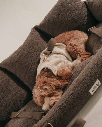 Premium Dog Car Seat for Safe & Comfortable Travel