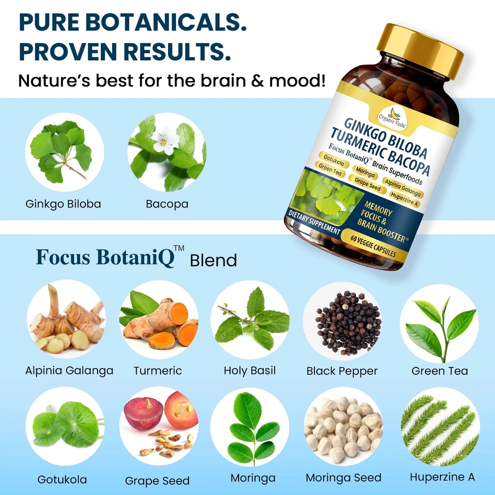 GinkgoBiloba3 (1) (2)