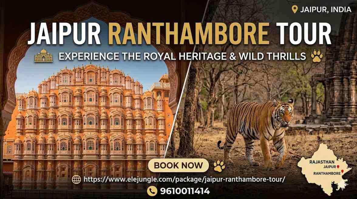 Jaipur-Ranthambore-Tour