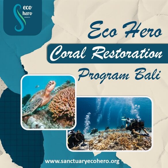 Eco Hero Coral Restoration Program Bali