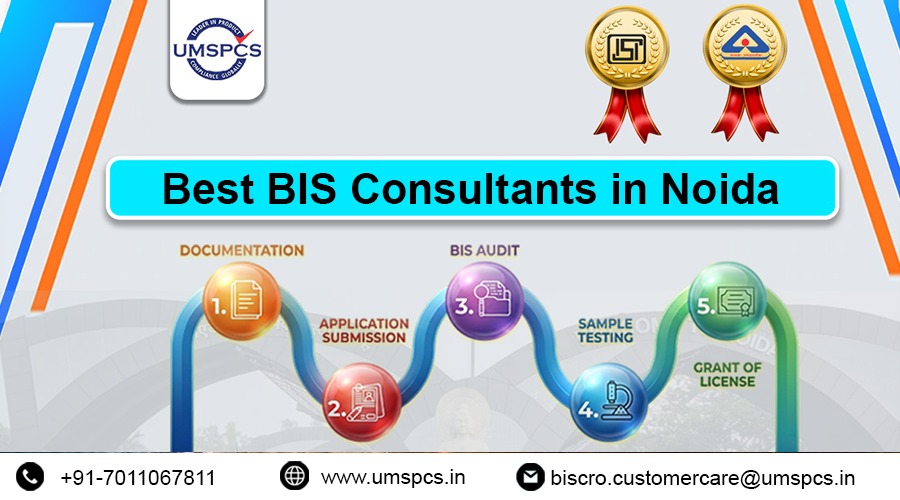 Best bis consultant in noida