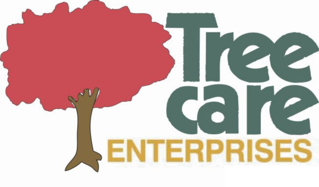 TCE Logo (1)