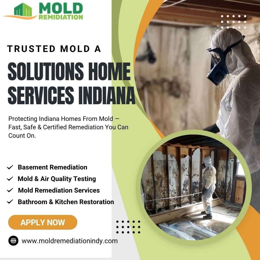 Mold Solutions Home Services Indiana (1)