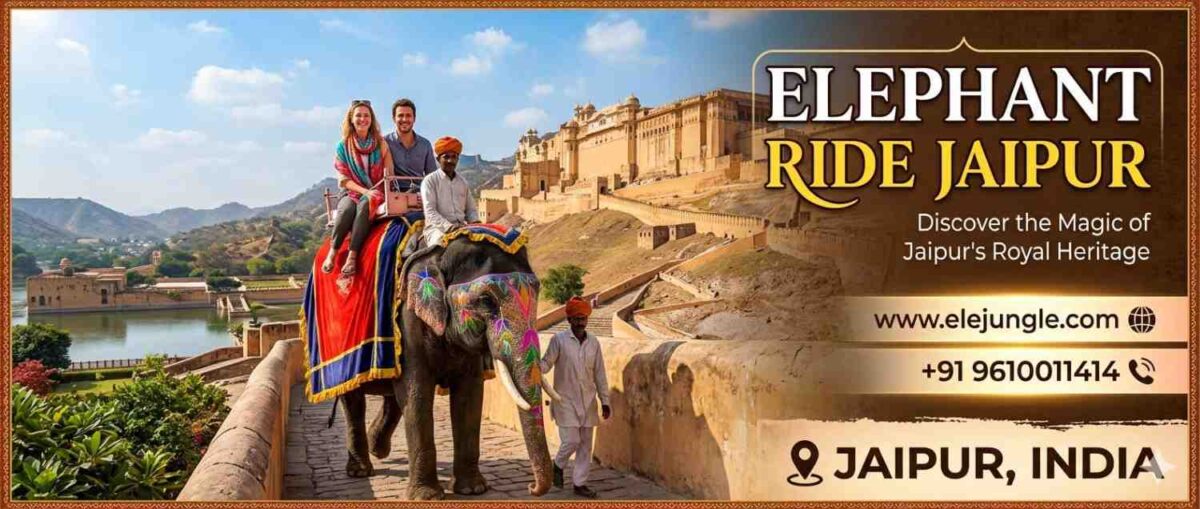 Elephant-Ride-Jaipur