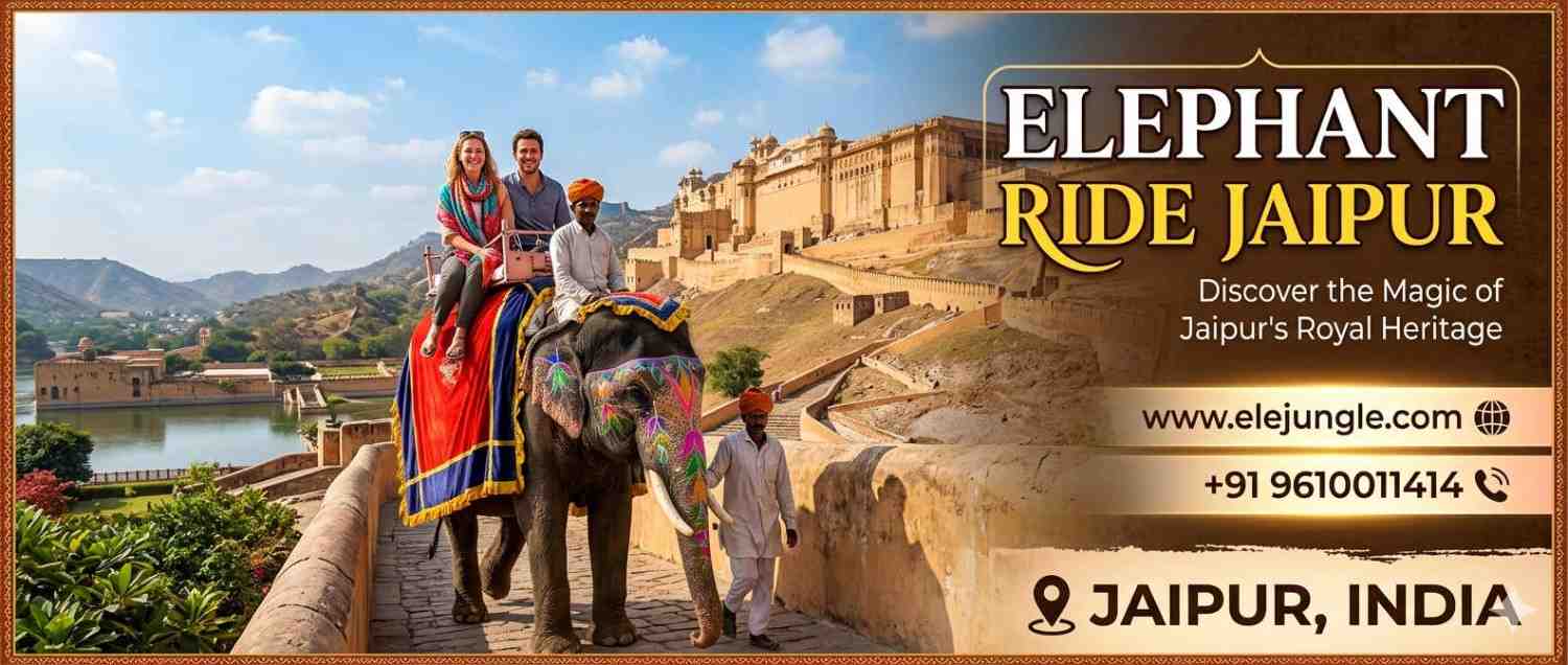Elephant-Ride-Jaipur