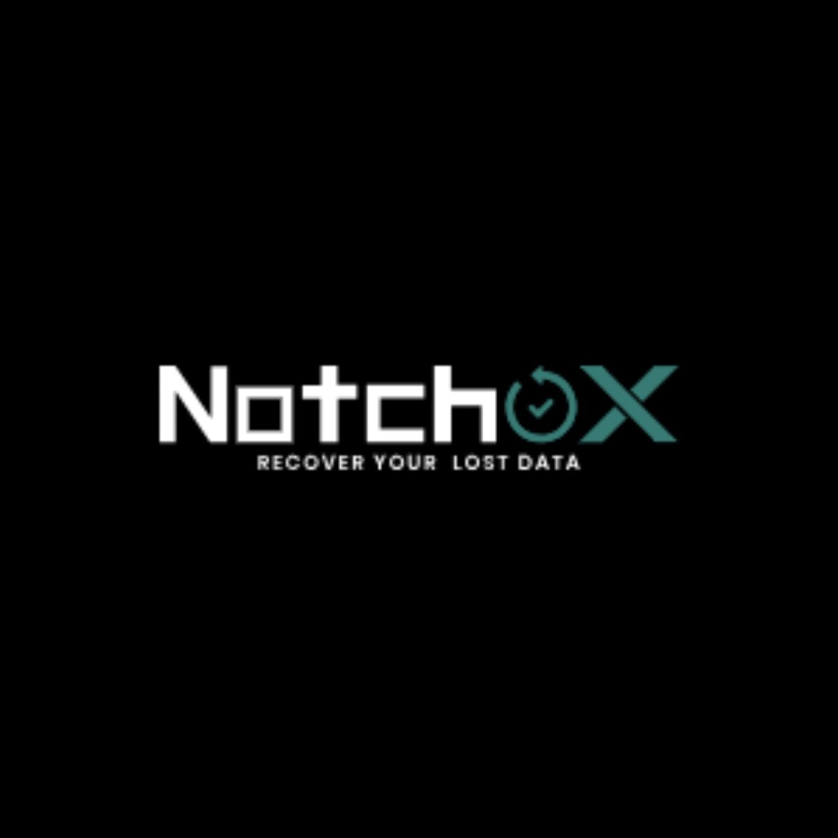 notchox logo