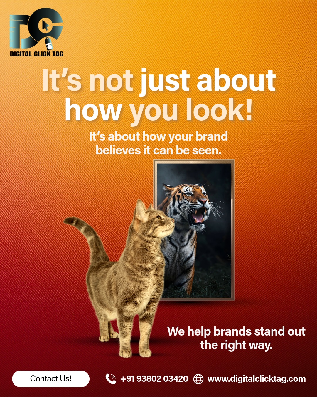 WhatsApp Image 2026-05-02 at 11.22.51 AM (1)