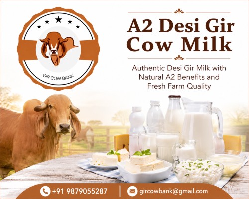 Authentic Desi Gir Milk with Natural A2 Benefits and Fresh Farm Quality