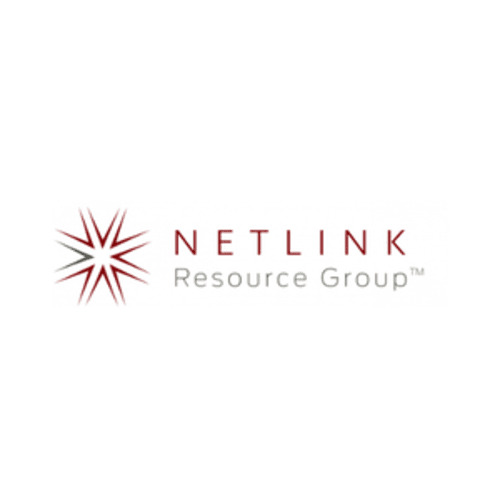 Netlink Logo (1)