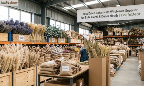 dried-flowers-wholesale