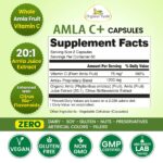Amla_C_1_2000x (1)