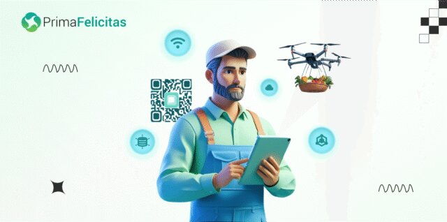 Blockchain Consulting Company