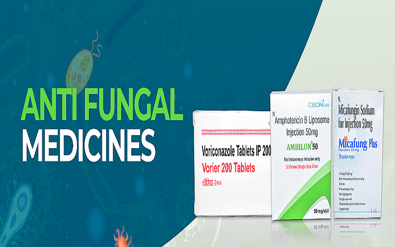 Anti Fungle medicine
