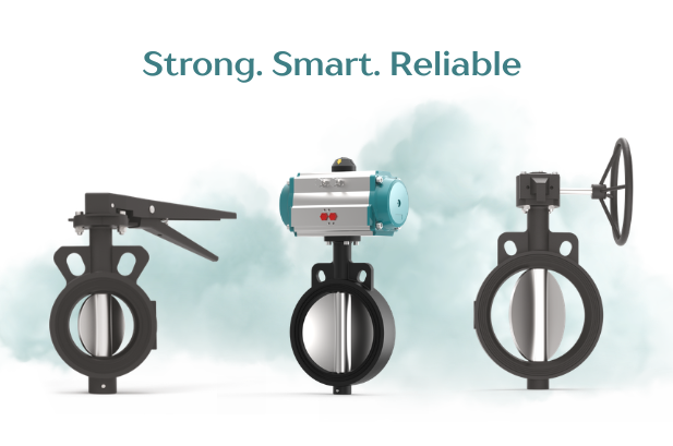Butterfly Valve banner img