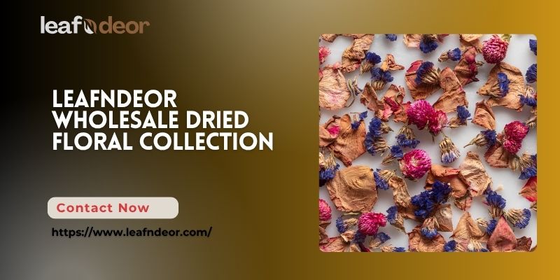 dried-flowers-wholesale