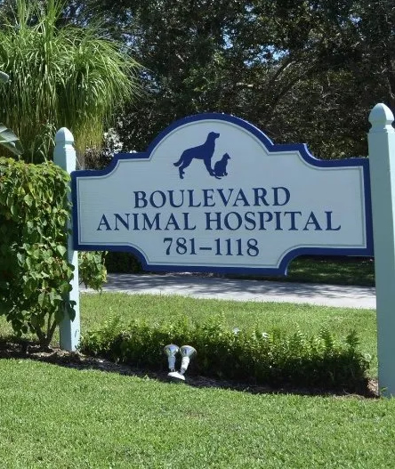 BoulevardAnimalHospital
