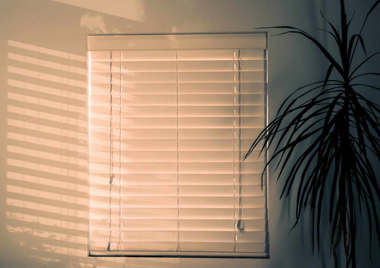roman blind string perth