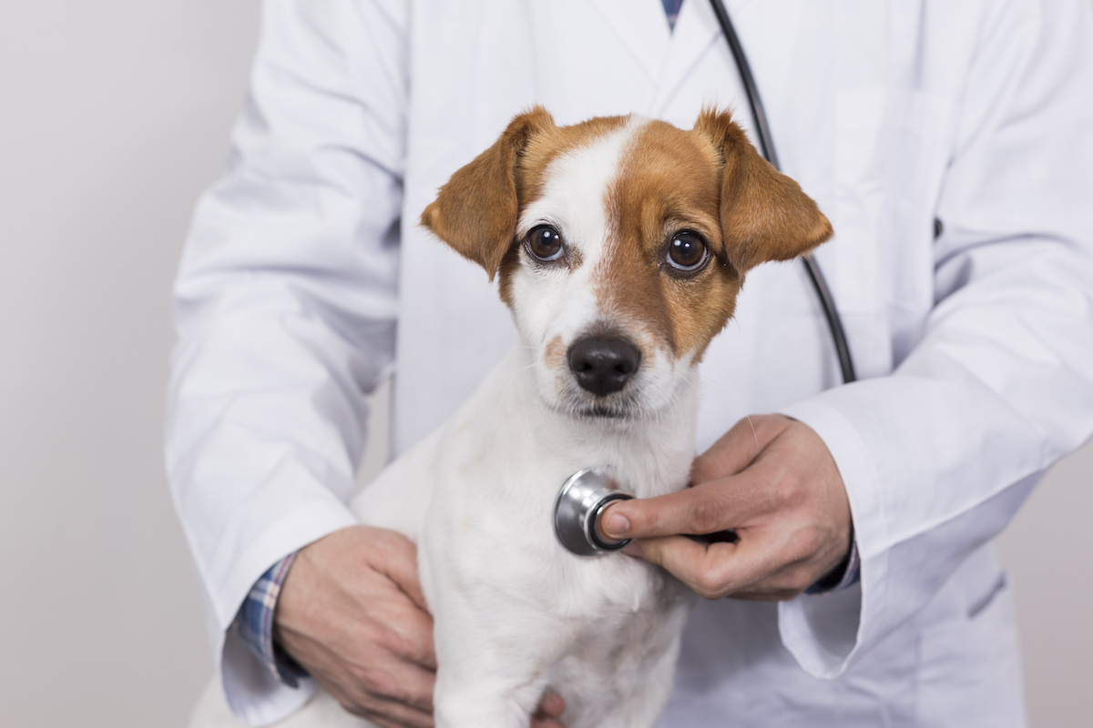annual-check-ups