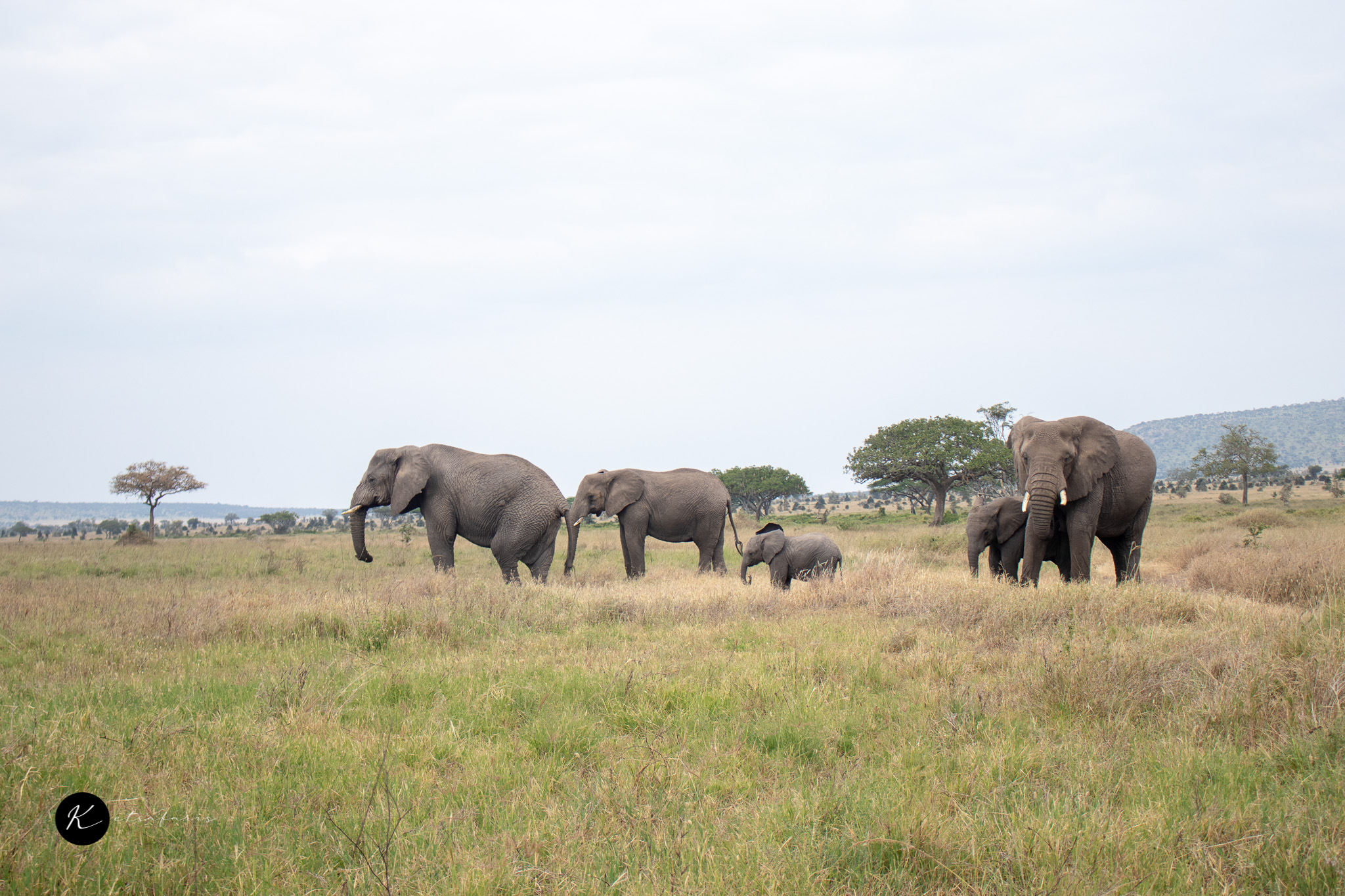 ketsafaris.com-Tanzania-22