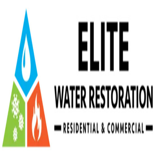 eb1fac68-85cd-4ada-87e1-ed1f44abdd5b_500x500
