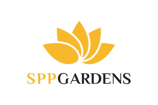 sppspp