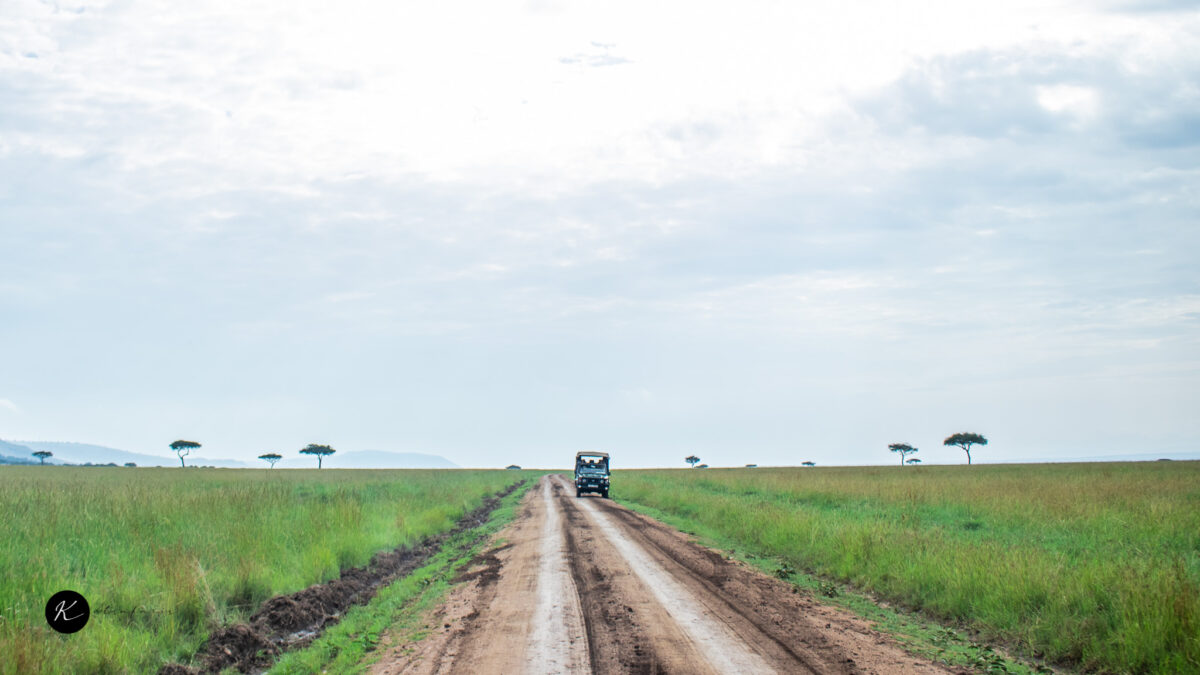 ketsafaris.com-Masai Mara-105