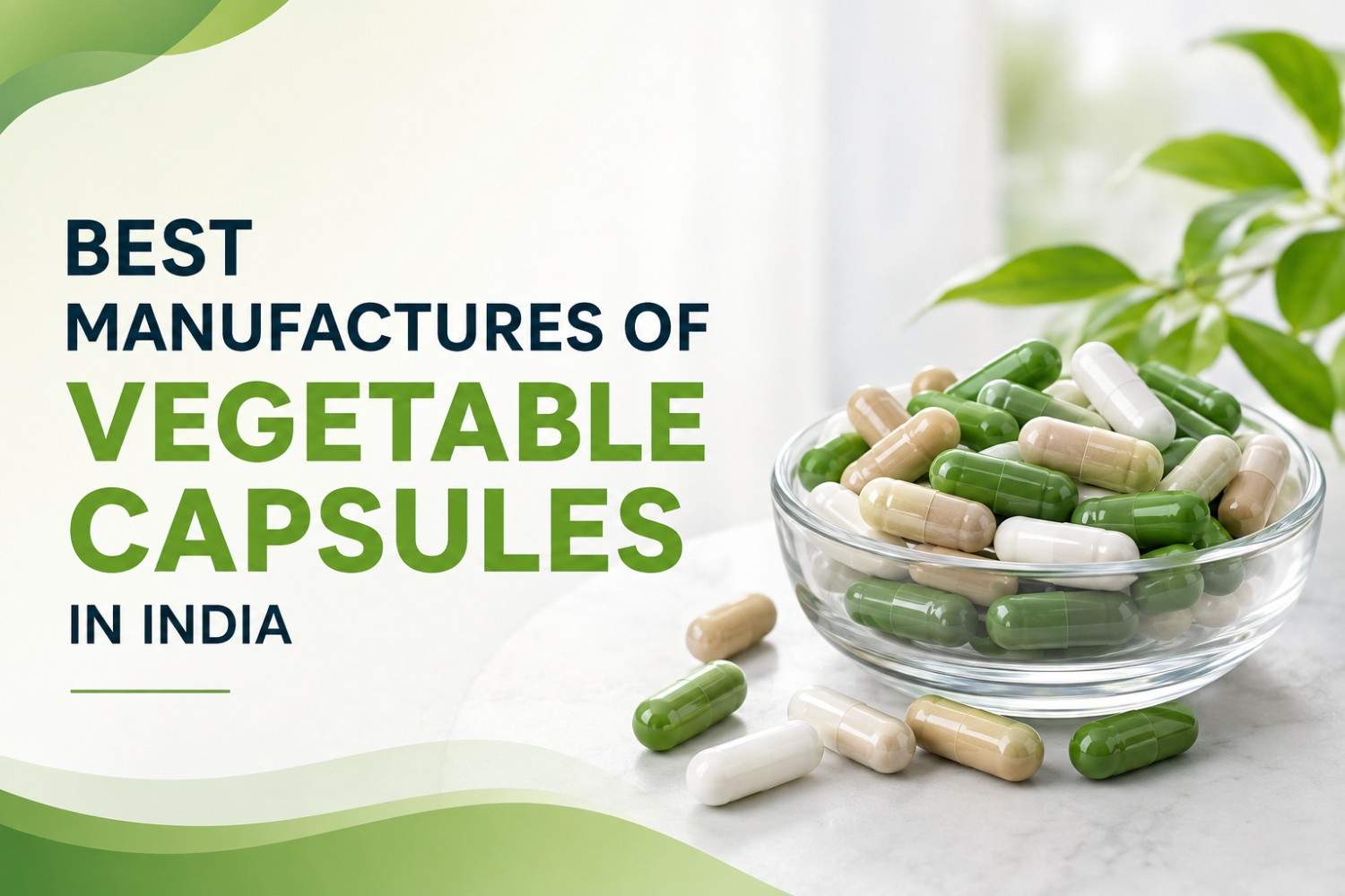 manufactures of vegetable capsules in India