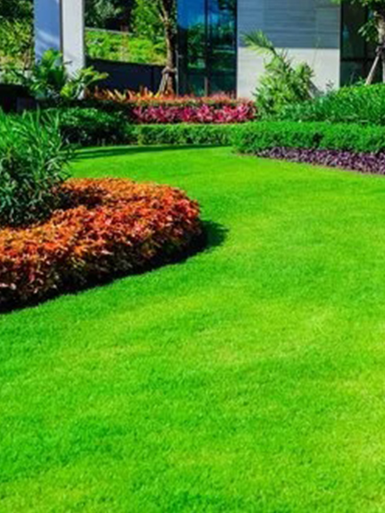 Landscape-Design-1