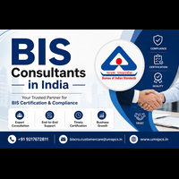BIS Consultancy (1)