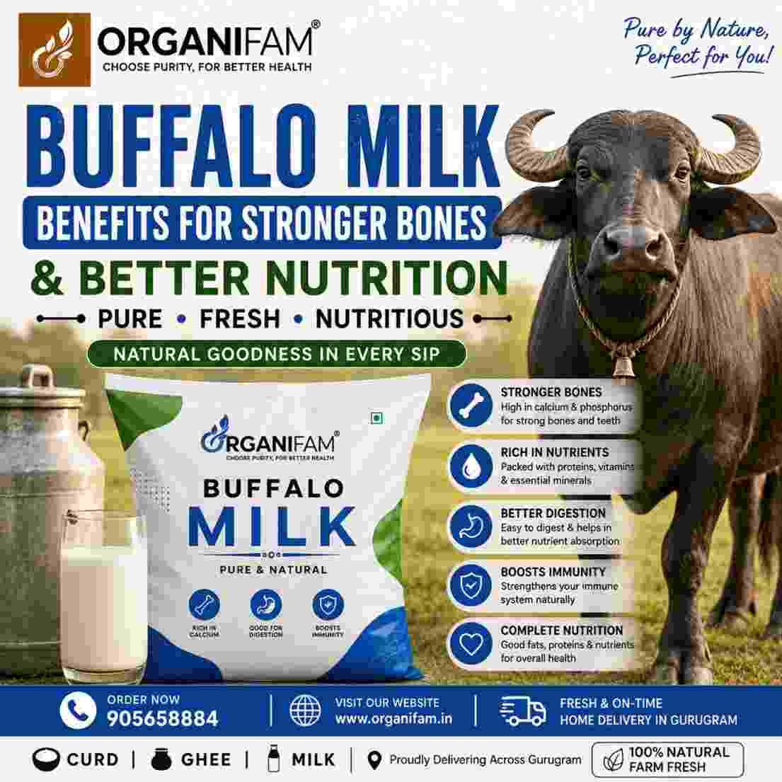 Buffalo Milk Benefits for Stronger Bones Better Nutritio-50kb