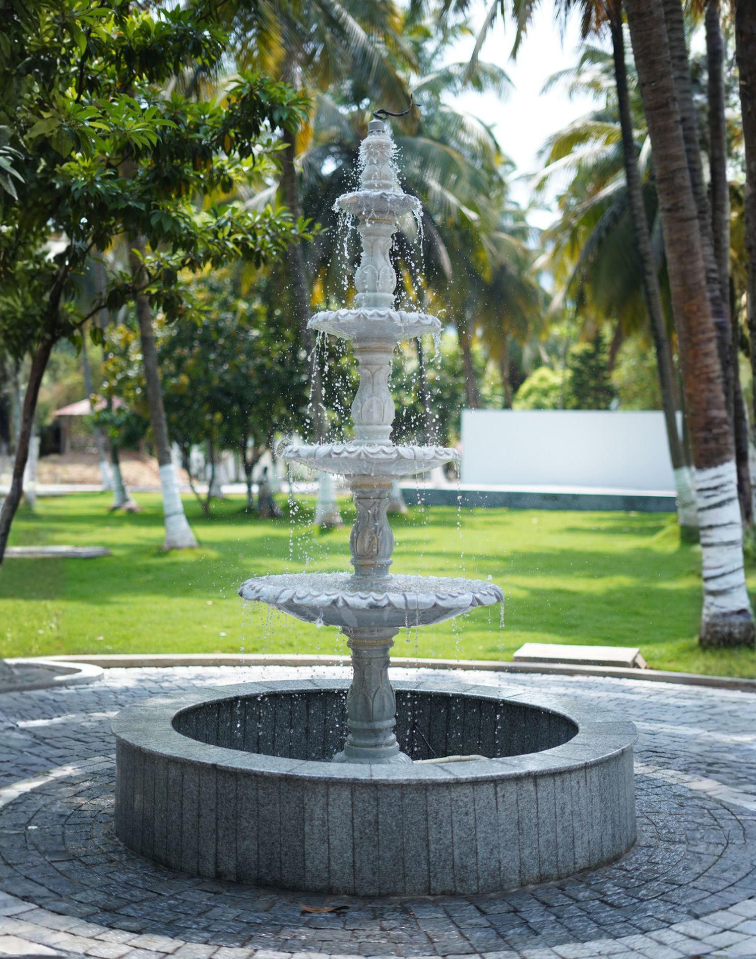 Untitled-design-2025-12-16T140632.199