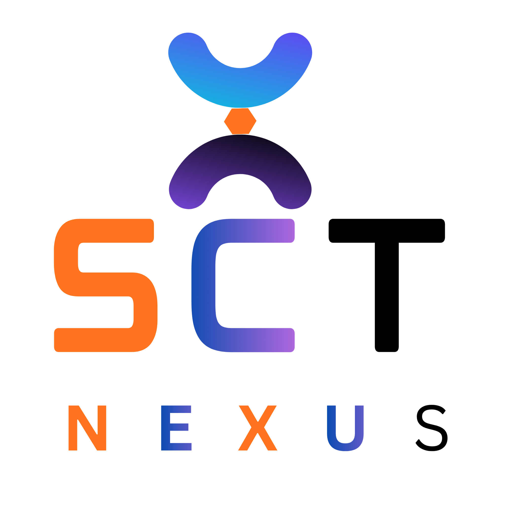 SCT NEXUS Web Development & SEO