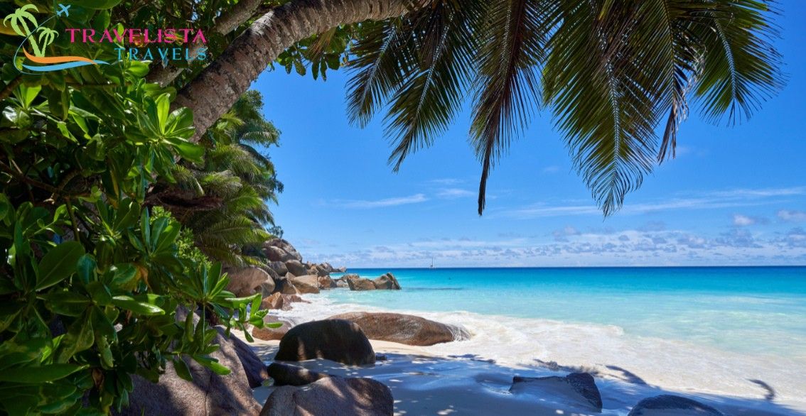travel agents on long island ny