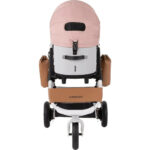 Big Dog Stroller (3)