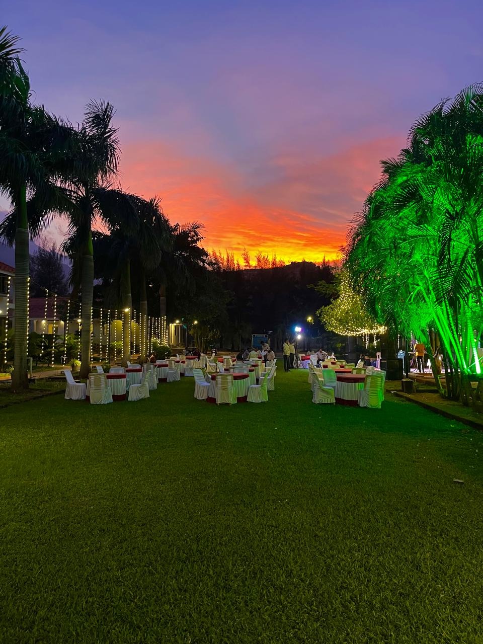 image (8)