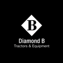 Diamond B - 500 (1)