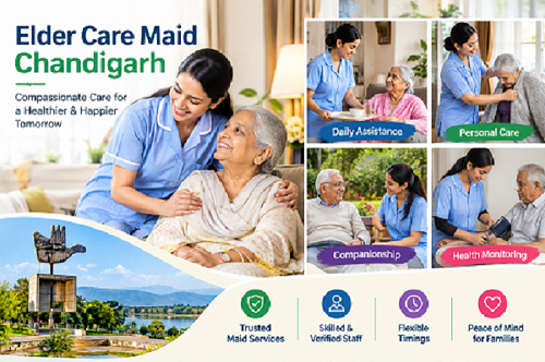 Elder Care Maid Chandigarh