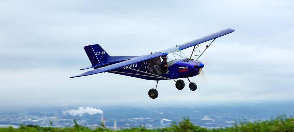 flight-Training