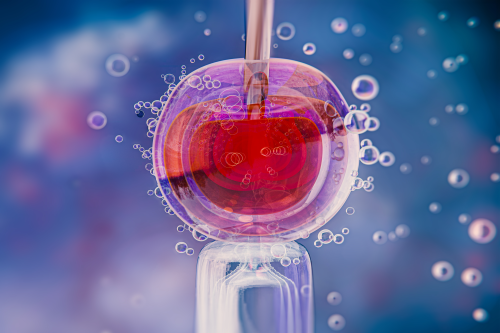 Embryo Biopsy