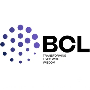 BCL Globiz Accounting and Consulting LLC