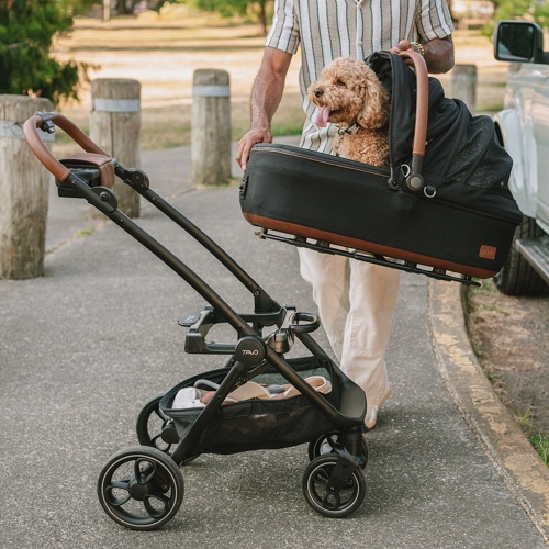 Animal Stroller-1