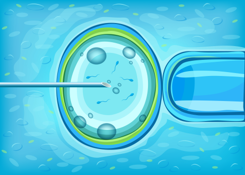Frozen Embryo
