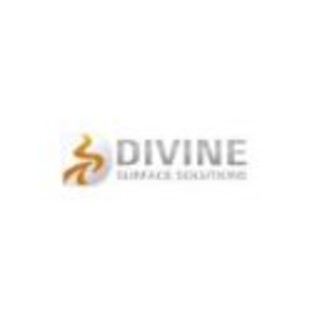 Divine logoo (2)