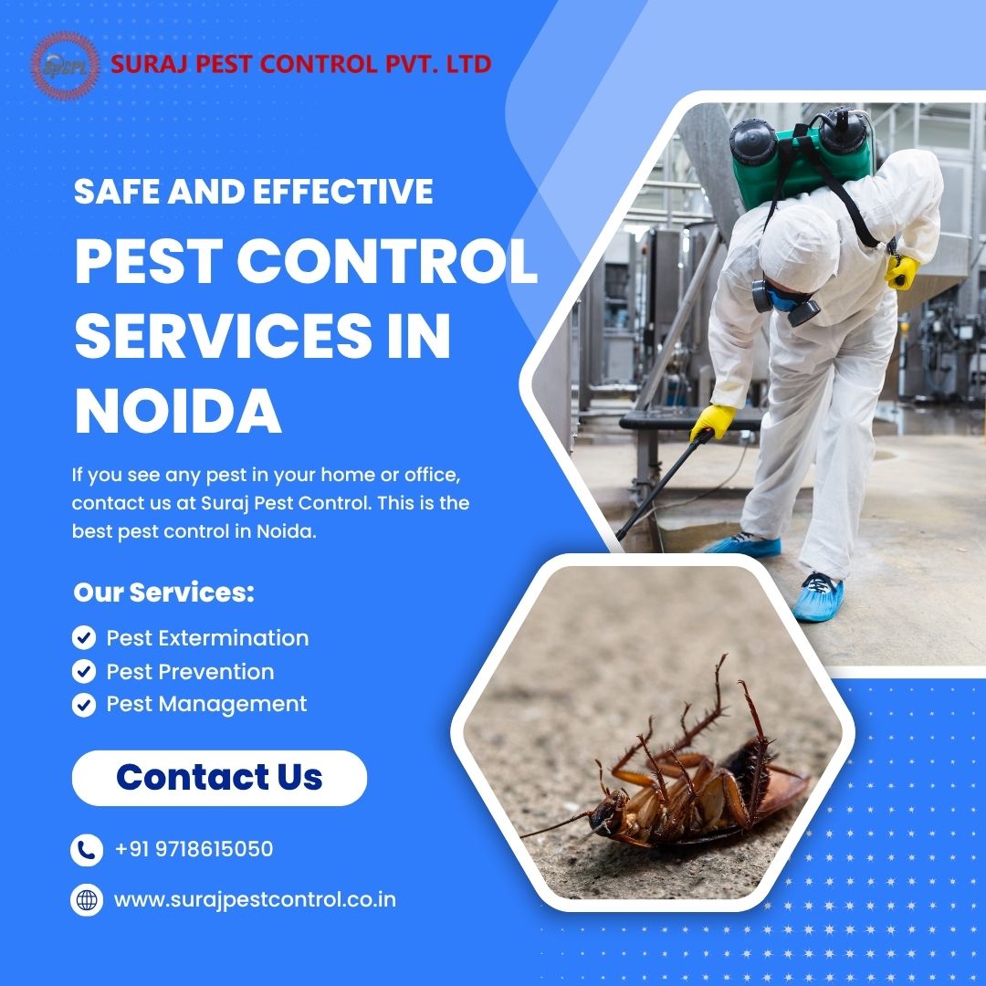 Best Pest Control Noida